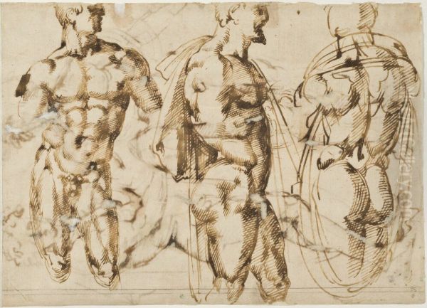 Study of three male nudes Oil Painting by Baccio Bandinelli