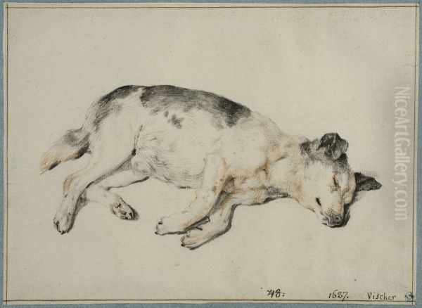 Sovande hund Oil Painting by Cornelis Visscher