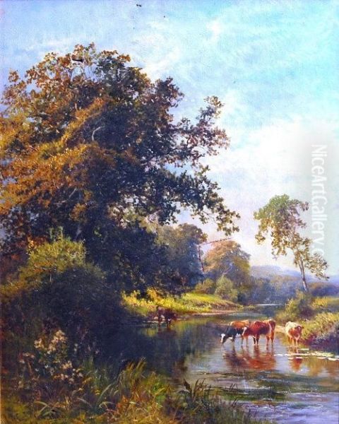 Cattle Watering In A Wooded Stream Oil Painting by Walter Wallor Caffyn