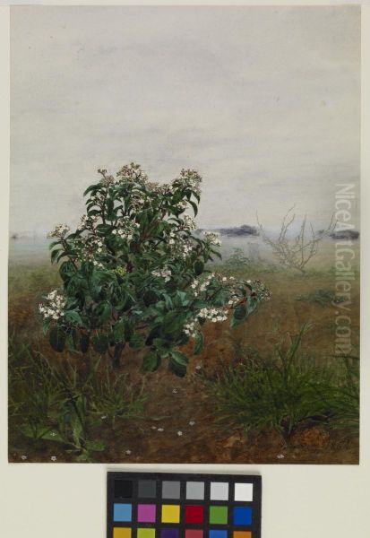 The Flowering Shrub Oil Painting by Leon Bonvin