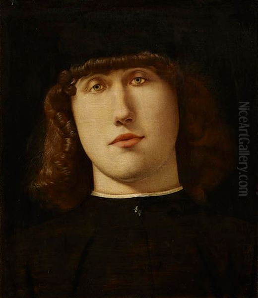 Portrait of a young man (Lotto Carrara) Oil Painting by Lorenzo Lotto