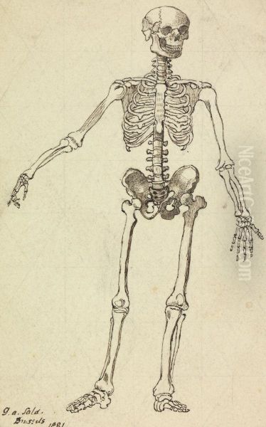 Drawing of a Skeleton Oil Painting by George Augustus Sala