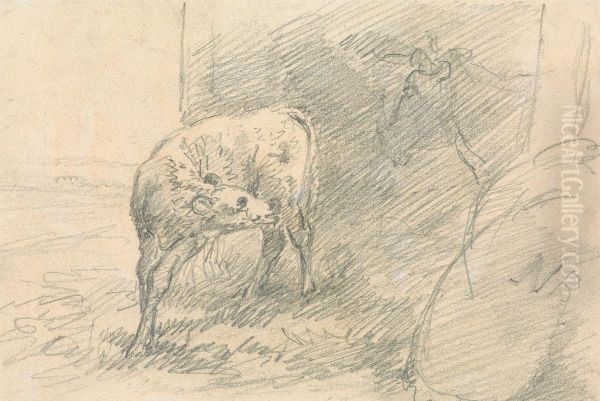 Calf, with Head of a Cow Oil Painting by Sawrey Gilpin