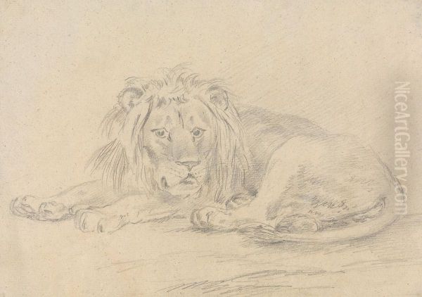 Lion Lying Down Oil Painting by Sawrey Gilpin