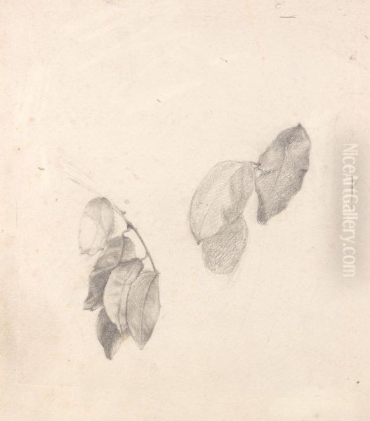 Studies of Leaves Oil Painting by John Ruskin