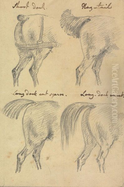 Four Sketches of Horse Tails Oil Painting by Sawrey Gilpin