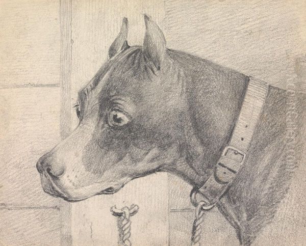 Head and Shoulders of a Boxer Dog, Profile Left, Wearing a Leather Collar A ttached to a Ring Post Oil Painting by Henry Thomas Alken