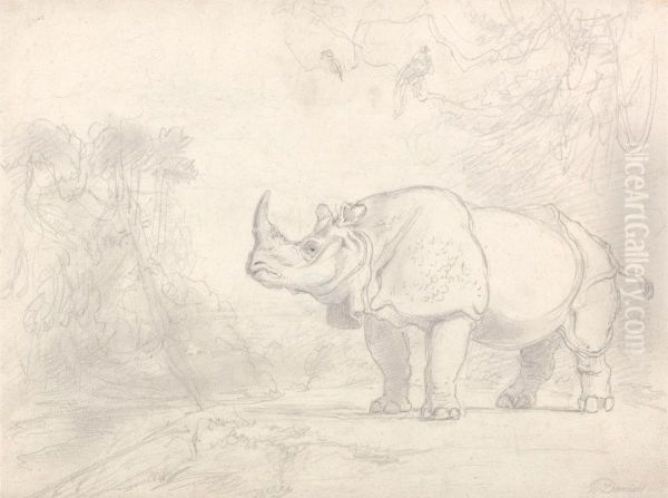 A Rhinoceros Standing on a River Bank Oil Painting by William Daniell