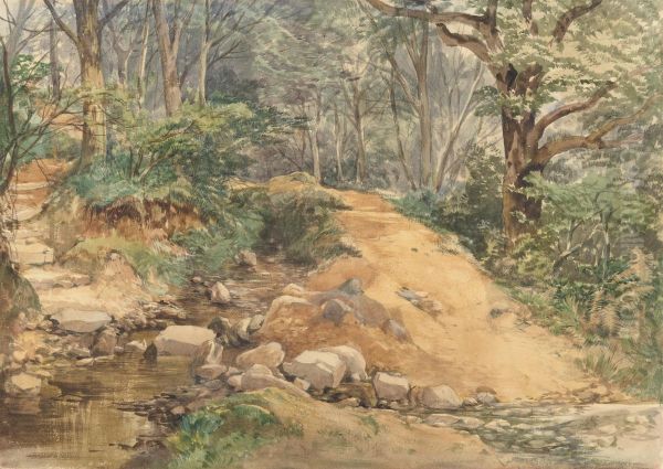 Woodland Scene with a Path Across a Stream Oil Painting by John Middleton