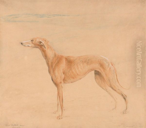 Earl Talbot's Hound, Thomasine Oil Painting by John Linnell