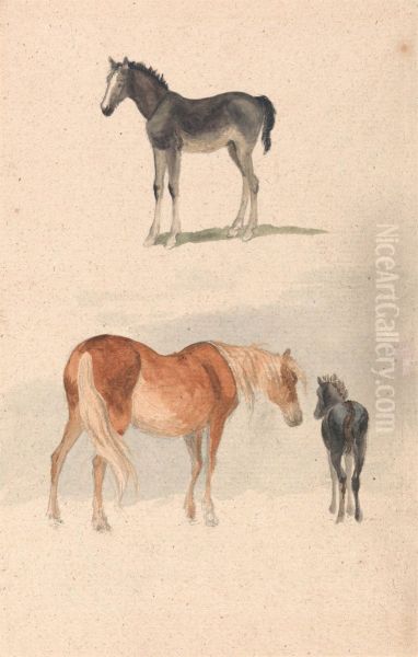 a Foal, and a Mare and Foal Oil Painting by Robert Hills