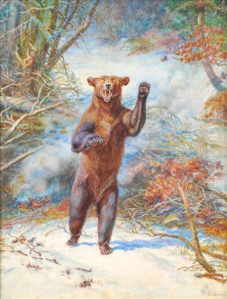 Bear Oil Painting by Edmund Caldwell