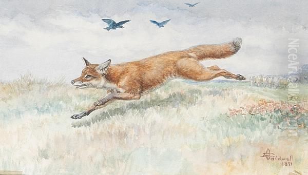 A Running Fox Oil Painting by Edmund Caldwell