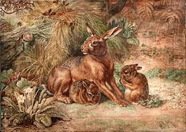 Study Of A Hare And Two Leverets Oil Painting by Edmund Caldwell