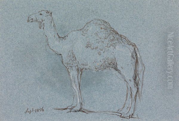 A Camel, Facing Left, Sept. 1856 Oil Painting by George Jones