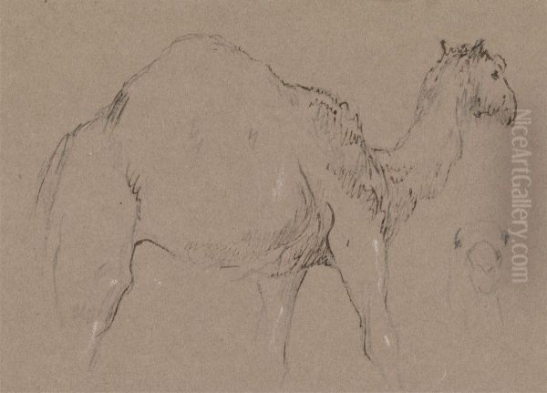 A Camel Moving to the Right; a Sketch of a Camel's Head, Bottom Right Oil Painting by George Jones