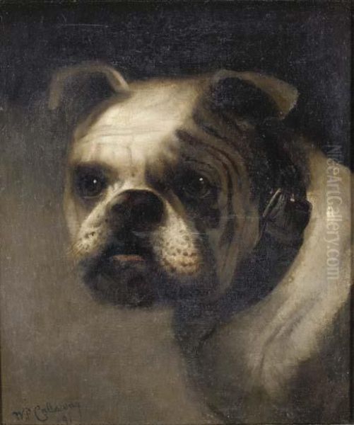 Portrait Of A Bulldog Oil Painting by William Frederick Callaway