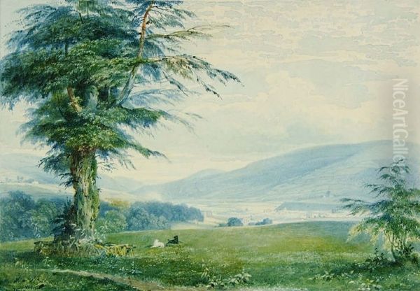 View fromGwaelod-y-Garth Oil Painting by Penry Williams