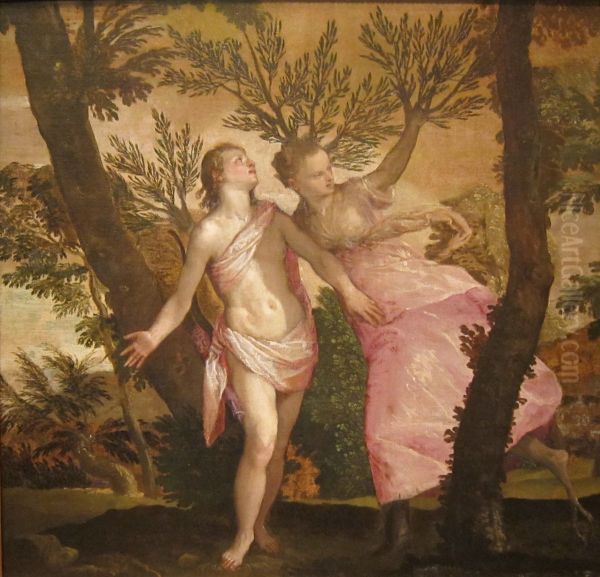 Apollo and Daphne Oil Painting by Paolo Veronese