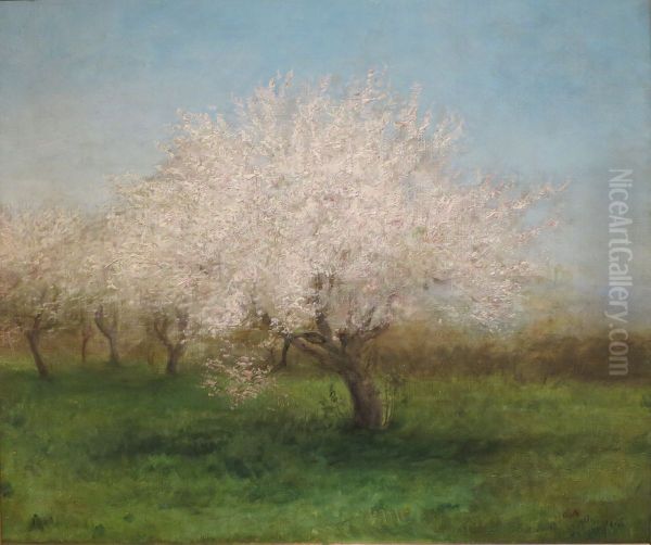 Apple Trees in a Meadow Oil Painting by Edward Mitchell Bannister