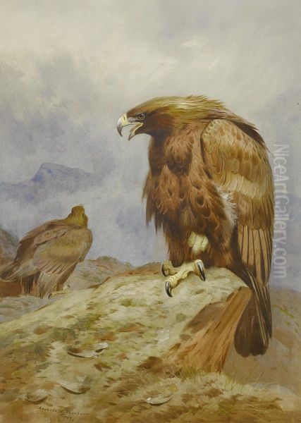 Pair of Golden Eagles Oil Painting by Archibald Thorburn