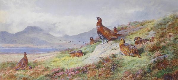 King of the roost Oil Painting by Archibald Thorburn