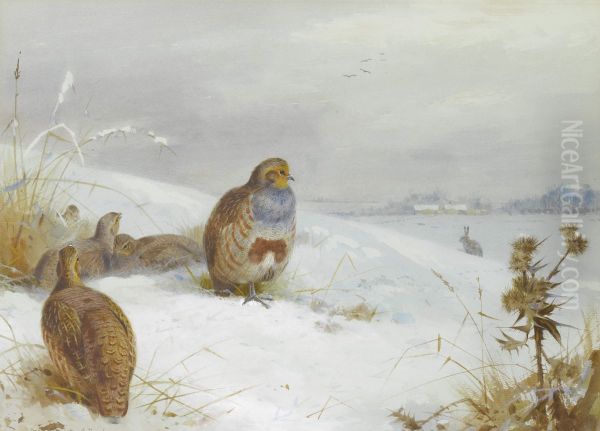 Hard times - partridges and a hare Oil Painting by Archibald Thorburn