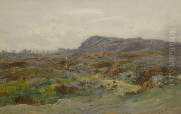 Moorland landscape. Oil Painting by Archibald Thorburn