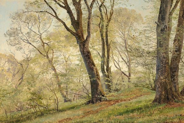 Woodlands with beeches in the springtime. Oil Painting by Janus la Cour