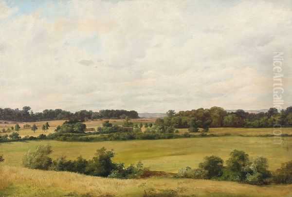 Danish summer landscape Oil Painting by Axel Schovelin