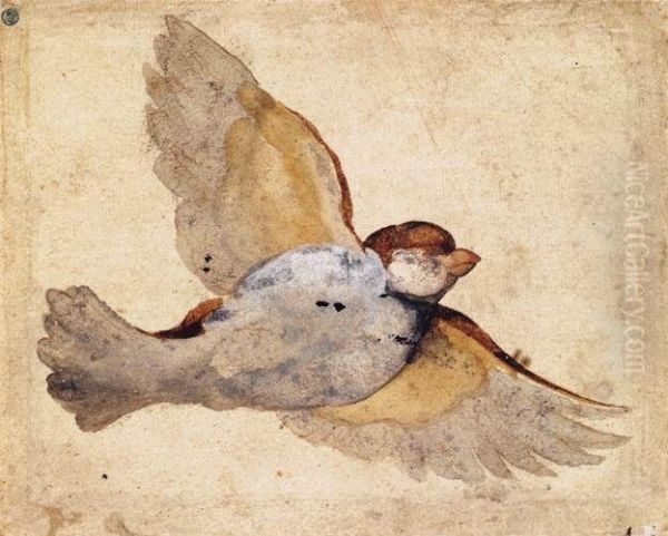 Study of a Flying Sparrow Oil Painting by Giovanni da Udine