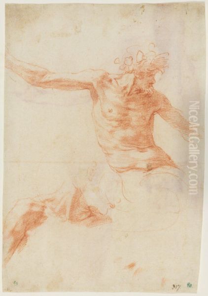 Figure studies, possibly for a triton Oil Painting by Polidoro da Caravaggio