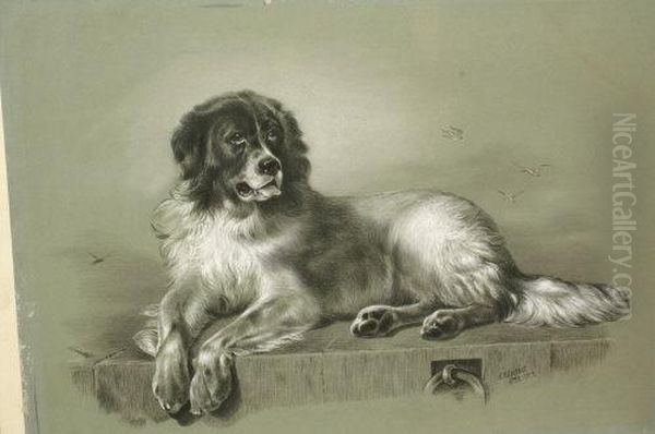 St Bernard, Resting On A Quay Oil Painting by Jennie Cooper Calvert