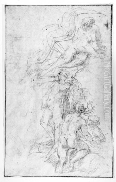 Studies for a Composition of Diana Bathing Oil Painting by Simone Cantarini