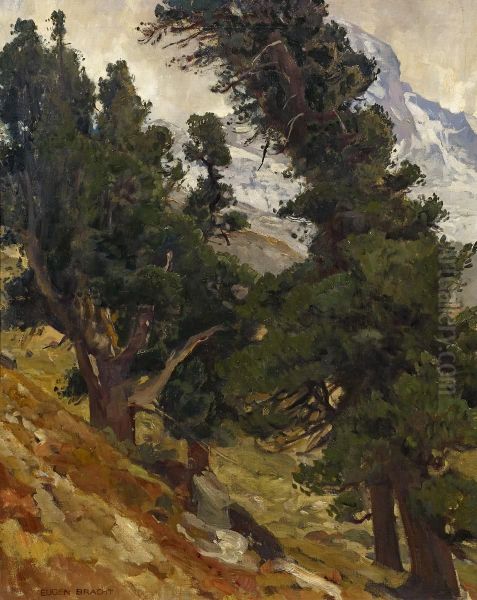 Swiss stone pine landscape in Switzerland Oil Painting by Eugen Bracht