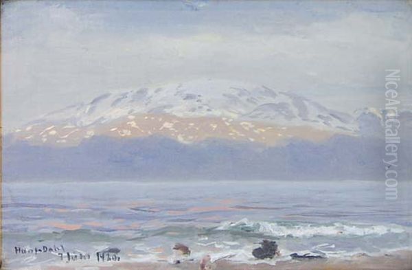 Sognefjord von seinem Grundstuck in Balestrand Oil Painting by Hans Dahl