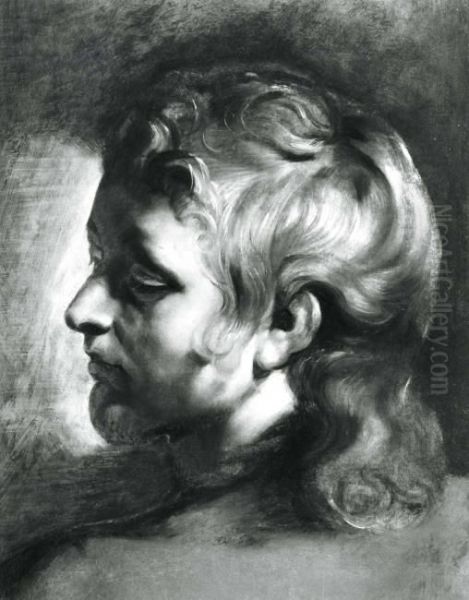 Study of the head of a young man turned to the left Oil Painting by Peter Paul Rubens