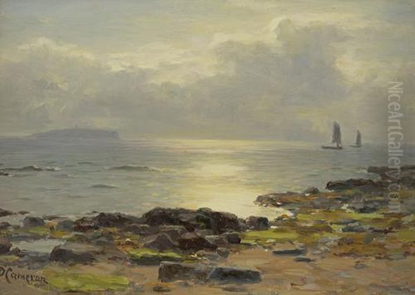 A Sunny Day Near Crail Oil Painting by Duncan Cameron