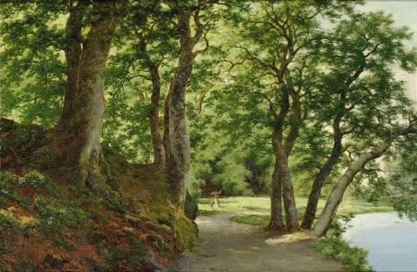 Forest scene near a lake. Oil Painting by Axel Schovelin