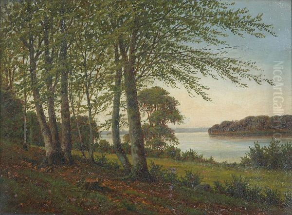 A Danish beech forest near an inlet. Oil Painting by Eiler Rasmussen Eilersen