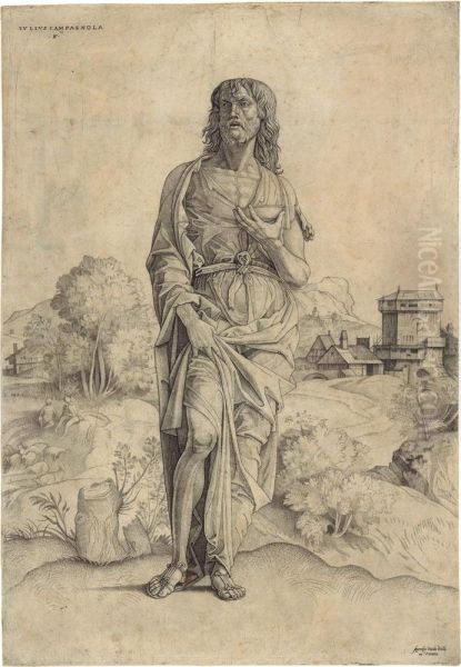 Saint John The Baptist Oil Painting by Giulio Campagnola