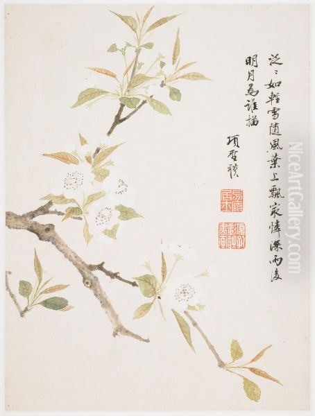 Pear Blossom from a Flower Album of Ten Leaves Oil Painting by Xiang Shengmo