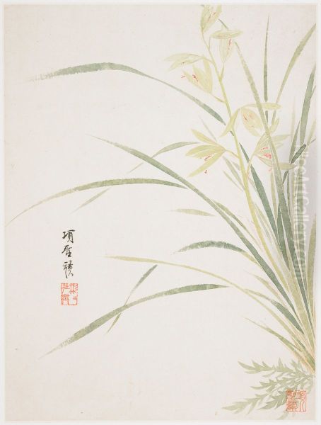 Epidendrum Blossom from a Flower Album of Ten Leaves Oil Painting by Xiang Shengmo