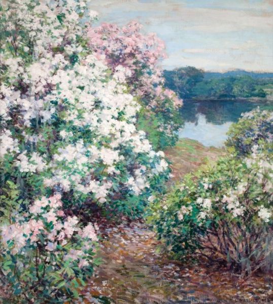 Mountain Laurel Oil Painting by Willard Metcalf