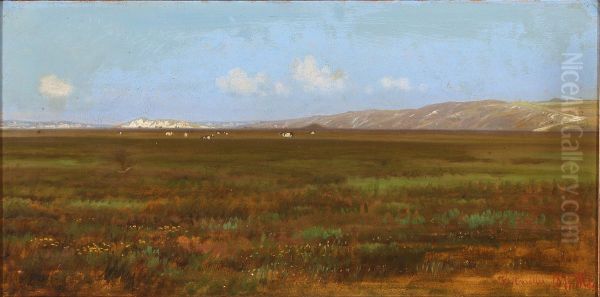 Landscape near Klitmoller, on a summer day Oil Painting by Hans Friis