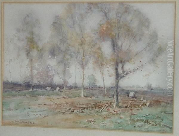 Sheep Grazing By Trees Oil Painting by Thomas Campbell