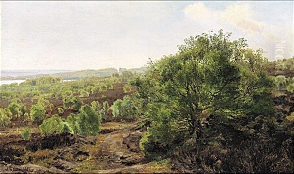 The landscape near the Silkeborg lakes. Oil Painting by Janus la Cour