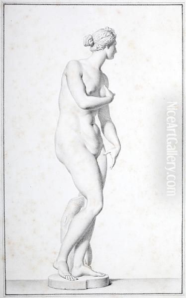 Study Of The Venus De Medici Oil Painting by Giovanni Domenico Campiglia