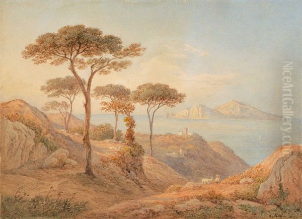 Blick von einer Anhohe uber den Golf von Sorrent auf die Insel Capri Oil Painting by Rudolf Muller