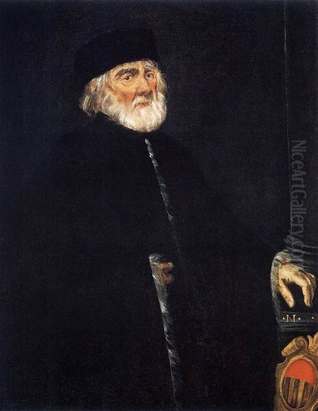 Ritratto del Procuratore Niccolo Priuli Oil Painting by Jacopo Tintoretto